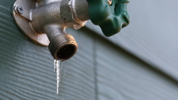 Best Plumbing Inspection Services  in Tremont, PA